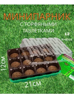 Мини парник с торфяными таблетками