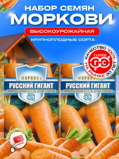 Морковь позднеспелая высокоурожайная для хранения