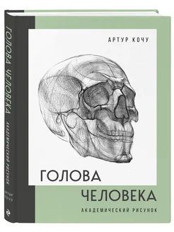 Голова человека. Академический рисунок