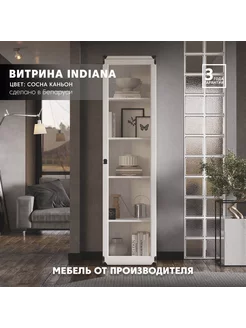 Витрина Indiana JWIT 1d (Сосна каньйон)