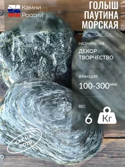 Камни декоративные,Голыш паутина морская,100-300мм,6 кг