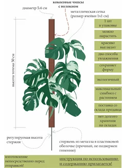 Тотем. Опора для комнатных растений 50см