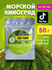 Морской виноград пищевой. 50г бренд VIETFOOD продавец Продавец № 3947968