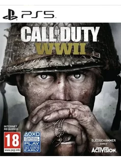 Игра Call of Duty WWII для Sony Playstation PS4 PS5