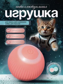 Интеллектуальная игрушка для кошек