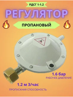 Редуктор пропановый РДСГ 1-1,2