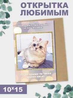 Открытка Котик