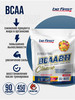 BF БЦАА в порошке BCAA 2 1 1 Powder, БЦА 450 г, Экзотика бренд be first продавец Продавец № 3938208