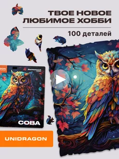 DIY Сова 100 деталей деревянный пазл