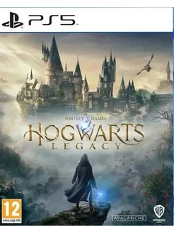 Hogwarts Legacy Ps5