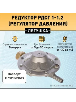 Регулятор давления (редуктор) газовый РДСГ-1-1.2 Беларусь