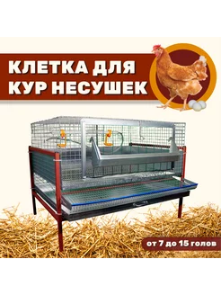 Клетка для кур-несушек на 10 голов