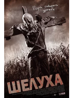 Шелуха (2010) (DVD-R)