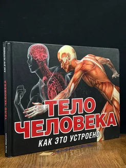 Тело человека