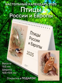 Настольный календарь домик 2025 "Птицы России и Европы"