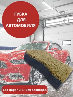 Губка для мытья автомобиля ЦИРЛИХ МАНИРЛИХ "Автогубка" № 7