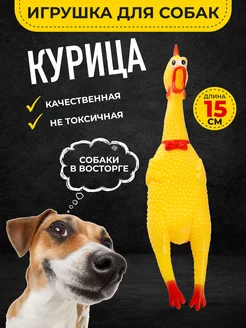 Игрушка для собак курица. Для животных