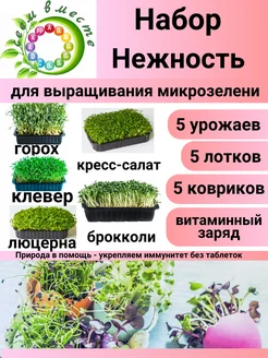 Набор для выращивания микрозелени "Нежность"