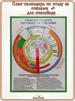 Календарь по уходу за пчёлами