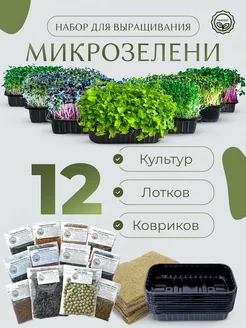 Микрозелень набор для выращивания 12 видов