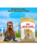 Yorkshire Terrier Adult для собак,1,5кг бренд ROYAL CANIN продавец Продавец № 831733