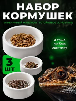 Поилка кормушка для рептилий 3 шт