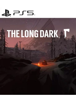 Игра The Long Dark PS4 PS5