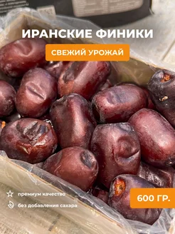 финики мазафати свежий новый урожай