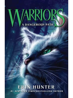 A Dangerous Path Книга на Английском