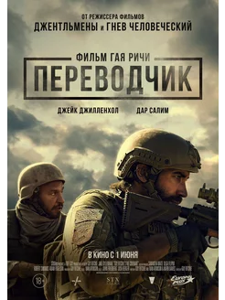 Переводчик (2023) (DVD-R)