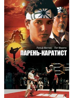 Парень-каратист (1984) (DVD-R)