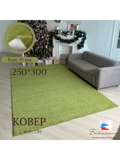 Ковёр комнатный с ворсом 250*300