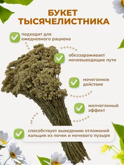 Букет тысячелистника