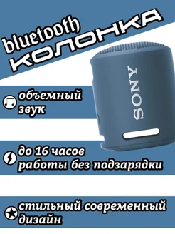 Беспроводная колонка SRS-XB13