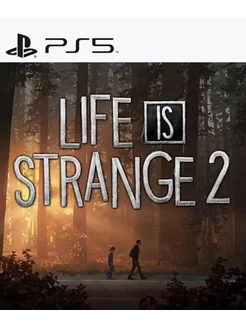 Игра Life is Strange 2 для Sony Playstation PS4 PS5