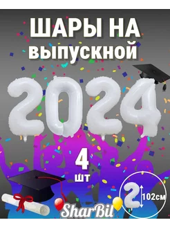 Шары воздушные на выпускной цифры из фольги 2024 год