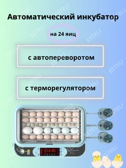 Автоматический инкубатор для яйц с автопереворотом