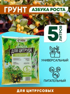 Грунт для цитрусовых 5 литров