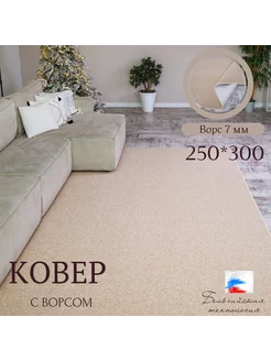 Ковёр комнатный с ворсом 250*300