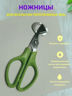 Ножницы кухонные для вскрытия перепелиных яиц