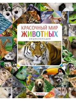 Красочный мир животных