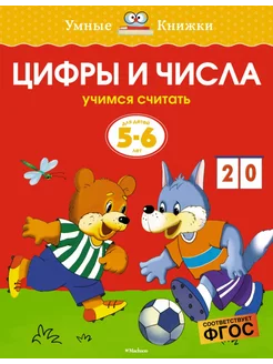 5-6 лет. Цифры и числа