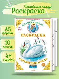 Раскраска Перелетные птицы