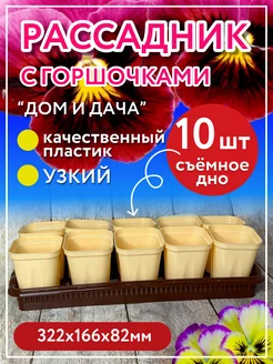 Рассадник на 10 стаканчиков (горшочков)