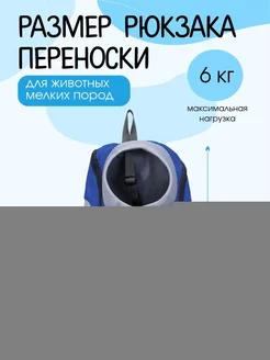 Рюкзак переноска для кошек, маленьких собак и животных