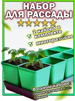 Горшки для рассады. Набор поддон (ящик) и горшочки