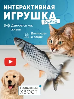 Игрушки для кошек и собак интерактивная рыба