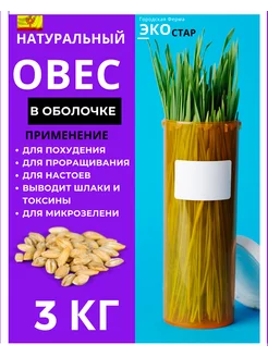 Овес для заваривания, для проращивания, 3 кг неочищенный