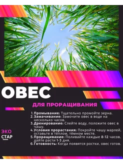 Овес неочищенный 10 кг