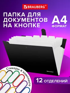 Папка для документов А4 на кнопке канцелярская 12 отд